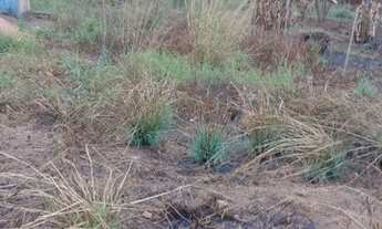 Imagem 2: Vendo se Terreno / lote com venda por R$7.000