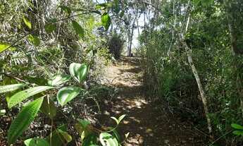 Imagem 3: Terreno sem benfeitorias para formação de sitio de lazer