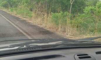 Imagem 7: Fazenda 235 alqueires Especial para soja no Vale do Araguaia TO