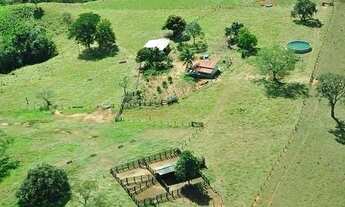 Imagem: Venda Fazenda 254 hectares Casa sede