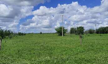 Imagem 4: Granja com 11 hectares na região de jndaira com poço tubular