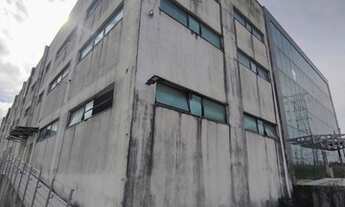 Imagem 4: /Alugo Galpão a partir de 1.000 m2 no Distrito 2