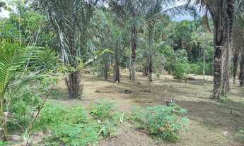 Imagem 5: Vendo Sitio no Paricatuba