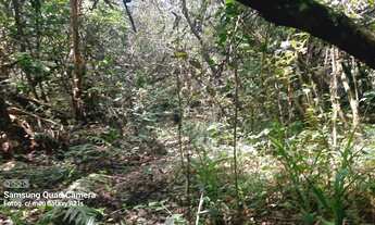 Imagem 2: Vendo chácara com vertentes e Árvoredos localidade de Maracanã /Glorinha!