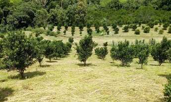 Imagem 3: Vende-se chácara em cerro azul