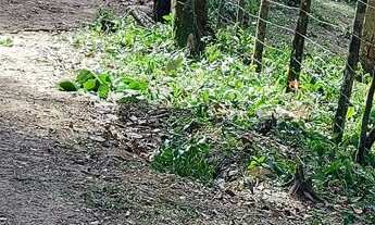 Imagem 3: Chacará em Juquitiba