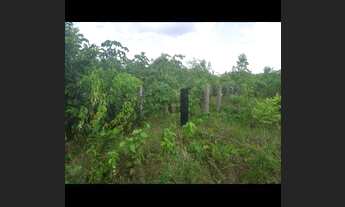 Imagem 4: Sitio Chácara com venda por R$165.000