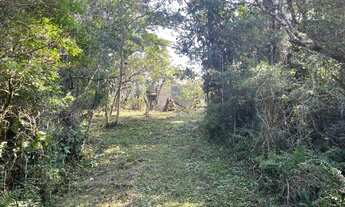 Imagem 6: Chácara de 4.000m² Vila Loty - Itanhaém Escriturada