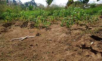 Imagem: Terreno com casa