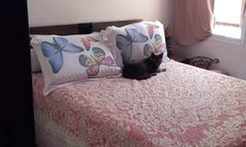 Imagem 6: APARTAMENTO 02 DORMITÓRIOS 01 VAGA 55M² VILA EMA