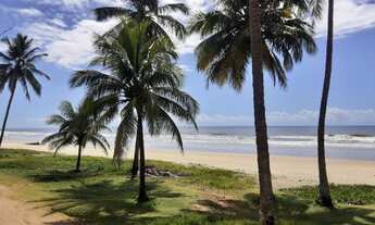 Imagem: Terreno sem benfeitorias para formação