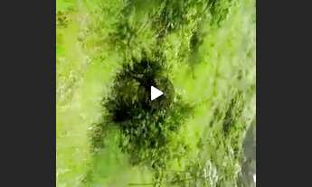 Imagem 3: Chacara 25mil metros