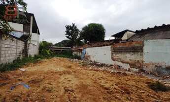 Imagem 2: Terreno - Figueira - Mage