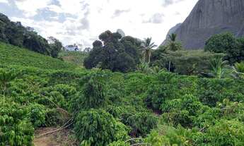 Imagem 4: Sítio na região de Lajinha, município de Pancas ES com 16 hectares