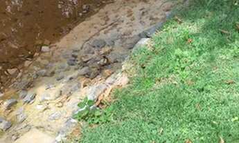 Imagem 2: Chácara Bonfinópolis - Oportunidade