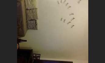 Imagem 2: Apartamento á venda na Vila Vilma com 03 dorms e 02 vagas