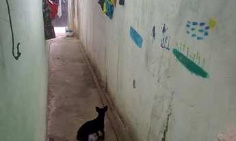 Imagem 3: Vende-se uma casa