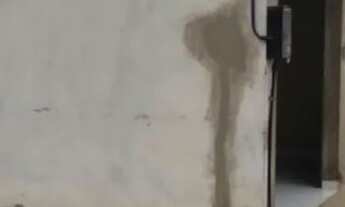 Imagem 3: Salão Casa com 1 banheiro