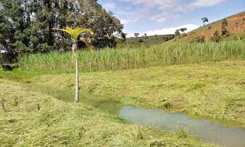 Imagem 6: Chacara em Iapu Chácara com venda por R$160