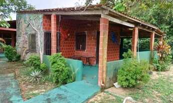 Imagem 4: Chácara km7 iranduba/januari