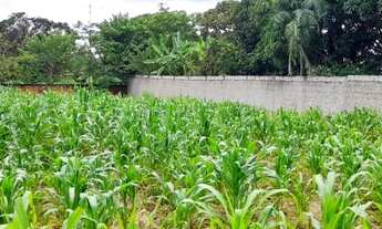 Imagem 6: Taboquinha GO - Vendo lote comercial próximo a BR 080 grande (1.000) metros