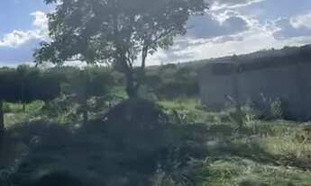 Imagem: Vendo terreno em Brasília/DF jardim botanico