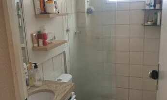 Imagem 3: Pedro Barreto oportunidade