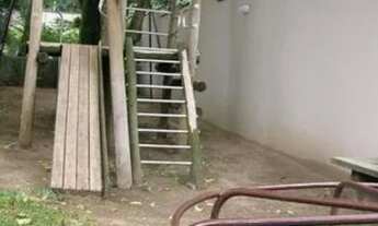 Imagem 6: APARTAMENTO - ALTO DE PINHEIROS - SP