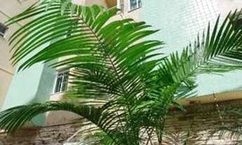 Imagem: Cobertura com 2 quartos no Granbery - Juiz