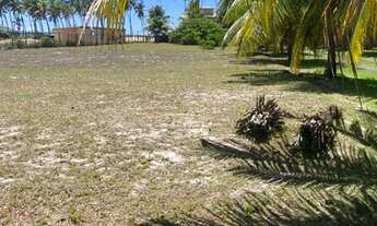 Imagem 3: Terreno plano em Busca Vida/ BA