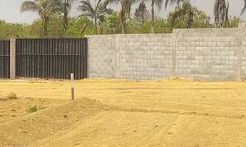 Imagem: Lote 310 MTS a 1.500 MTS da estrutural na