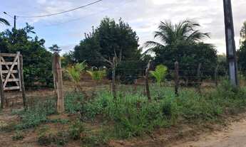 Imagem 2: Vendo maravilhoso sítio em alagoinhas