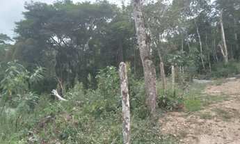 Imagem 7: Lindo terreno abaixo do valor de mercado apenas 47 mil reais