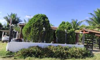 Imagem 4: SITIO A 18KM DE FEIRA DE SANTANA