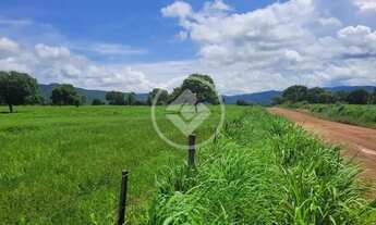 Imagem 5: FAZENDA À VENDA EM ACORIZAL - MT codigo: 111371
