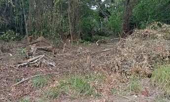 Imagem 2: Excelente terreno(chácara 13mil mts?