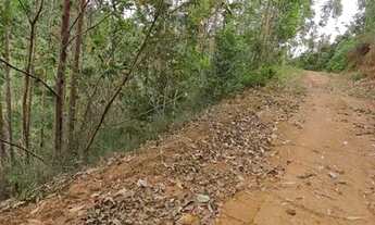 Imagem 3: BLACK Chácara, terra fria, Domingos Martins, tijuco, escriturada, negocio aceito oferta l