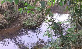 Imagem: Terreno demarcado com água corrente