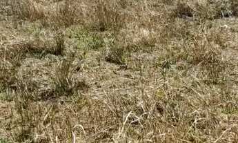 Imagem 5: Imóvel para venda tem 500 metros quadrados em Vargem do Salto - Ibiúna - SP