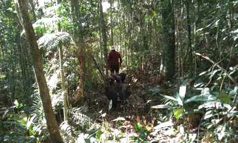 Imagem 5: Super 5 mil mts quadrados na crista da colina plaino
