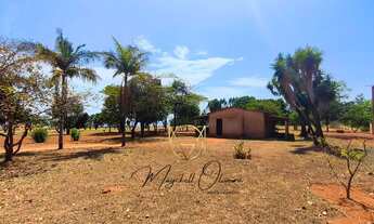 Imagem 3: Chácara 2 Hectares no Lago Oeste, oportunidade mesmo, na via principal rua 18