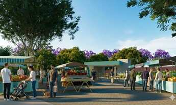 Imagem 6: Ágio de Oportunidade Jardins Miami