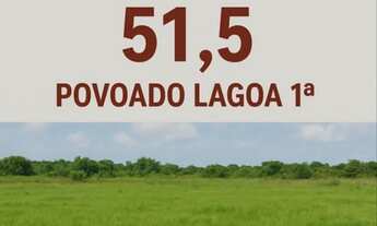 Imagem: Vendo terreno em gararu