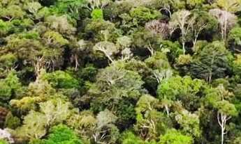 Imagem 5: Vendo sitio com Igarapé