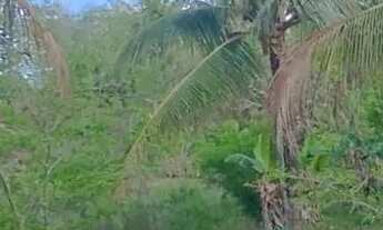 Imagem 6: Vende ou trouco Chácara com venda por R$80.000