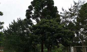 Imagem 5: Chácara 12.000mts a 950mts da Estrada da Ribeira - Documentada - Acesso ao rio Capivari