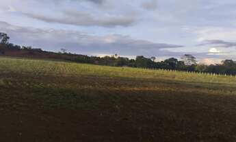 Imagem 7: Vende chácara de 15 alqueires dupla aptidão, a 1 km de Silvania