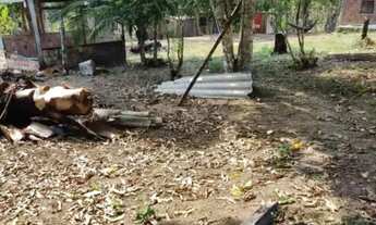 Imagem: Terreno/sítio lote 30x25