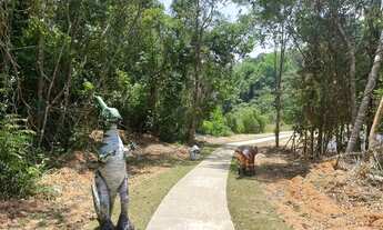 Imagem 5: CHÁCARA MAIÁPOLIS