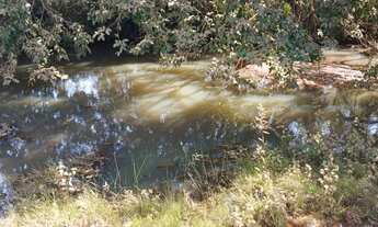 Imagem 7: Vendo Chacara em Aragoiania 1000m² Escriturada com Ribeirão. Aceito carro ou moto parte PG
